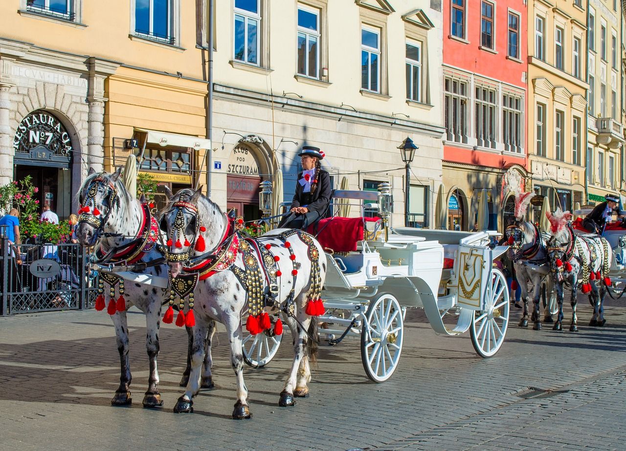 Gdzie udać się na wycieczkę jednodniową?