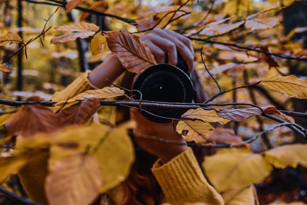 Czym jest freelensing?