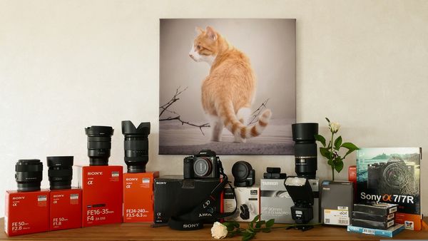 Najlepsze aparaty fotograficzne od najlepszych producentów