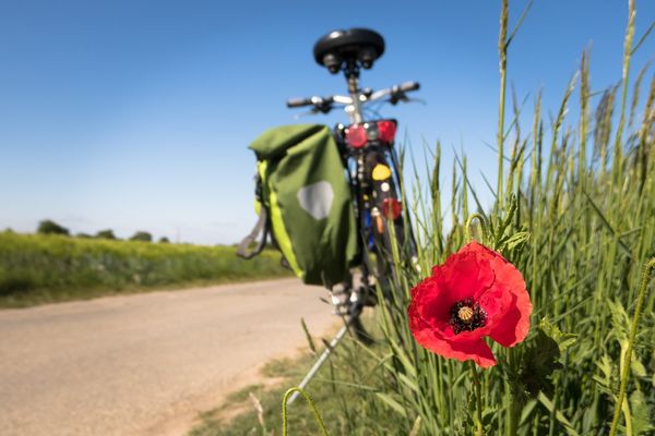 Jak przygotować się na rowerową wycieczkę?